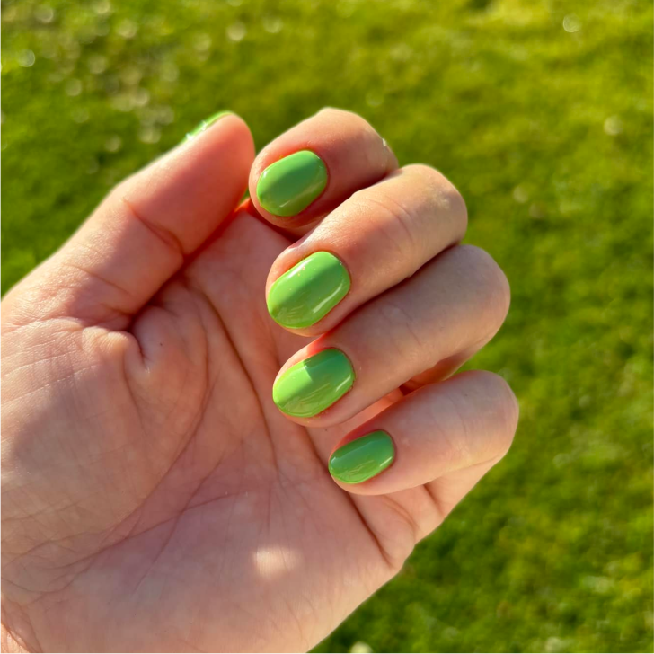 692 Kiwi Kiss