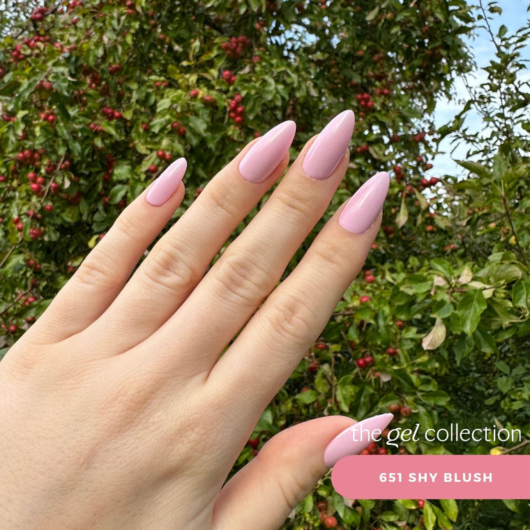 651 Shy Blush