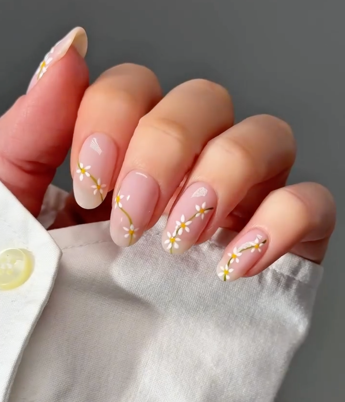 Daisy Dreams