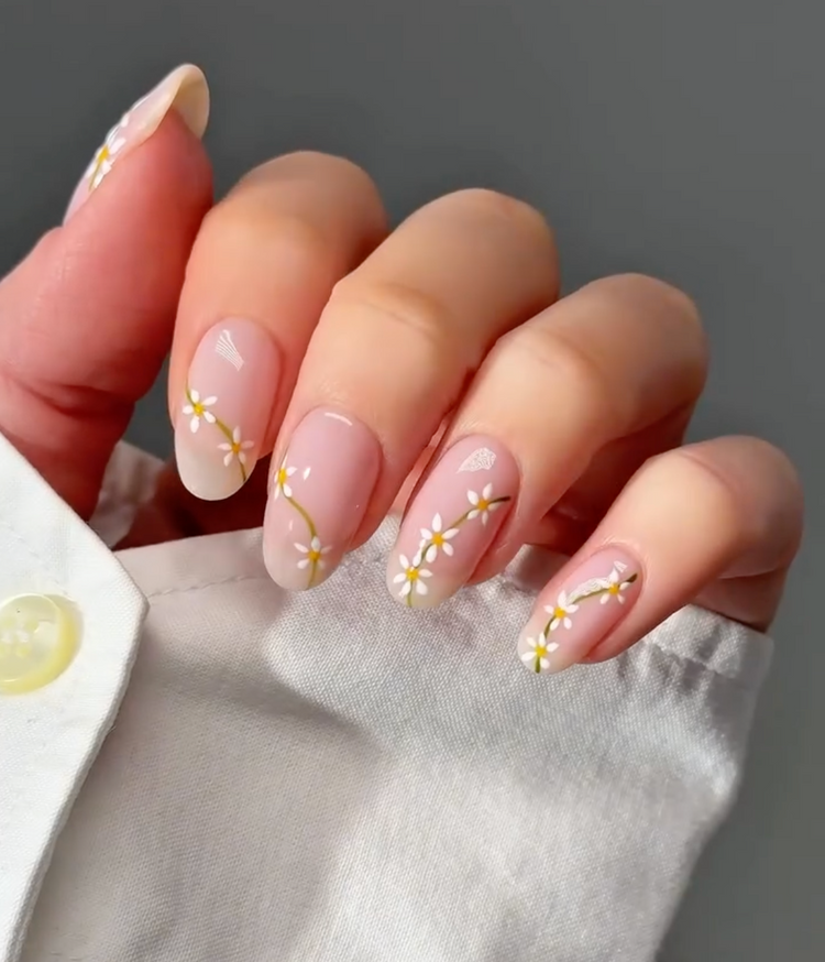 Daisy Dreams
