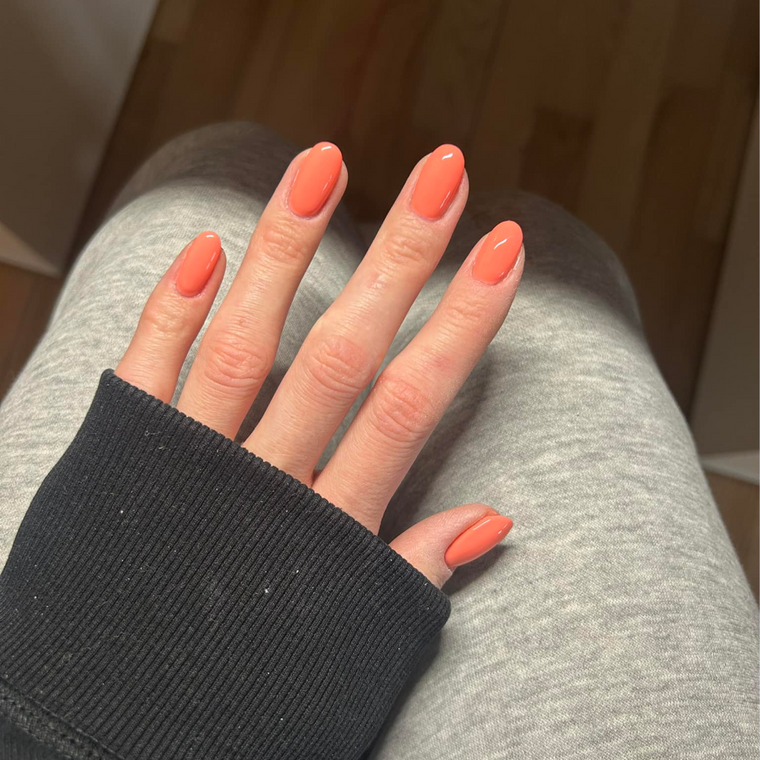 529 Electric Coral