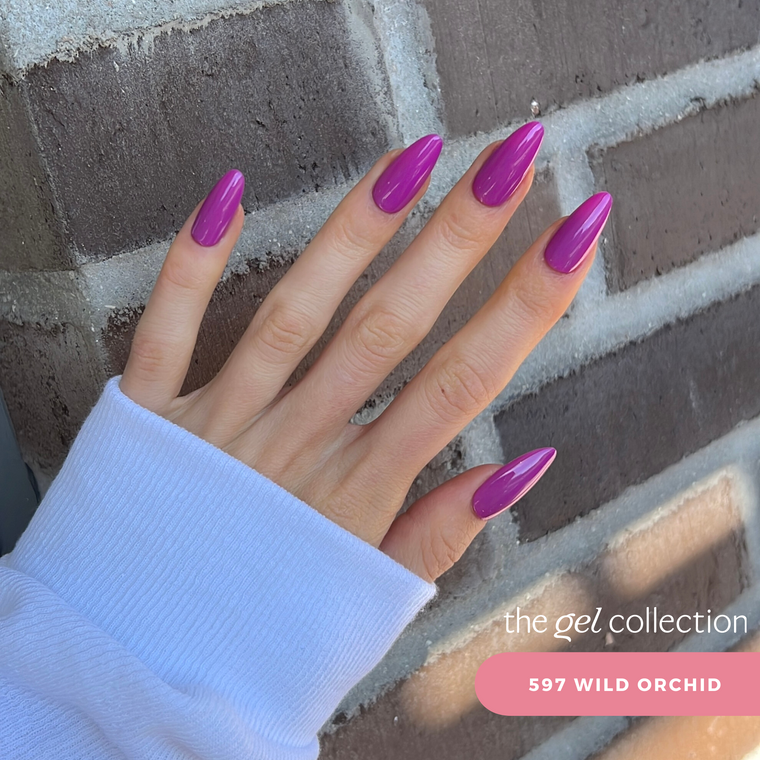 597 Wild Orchid