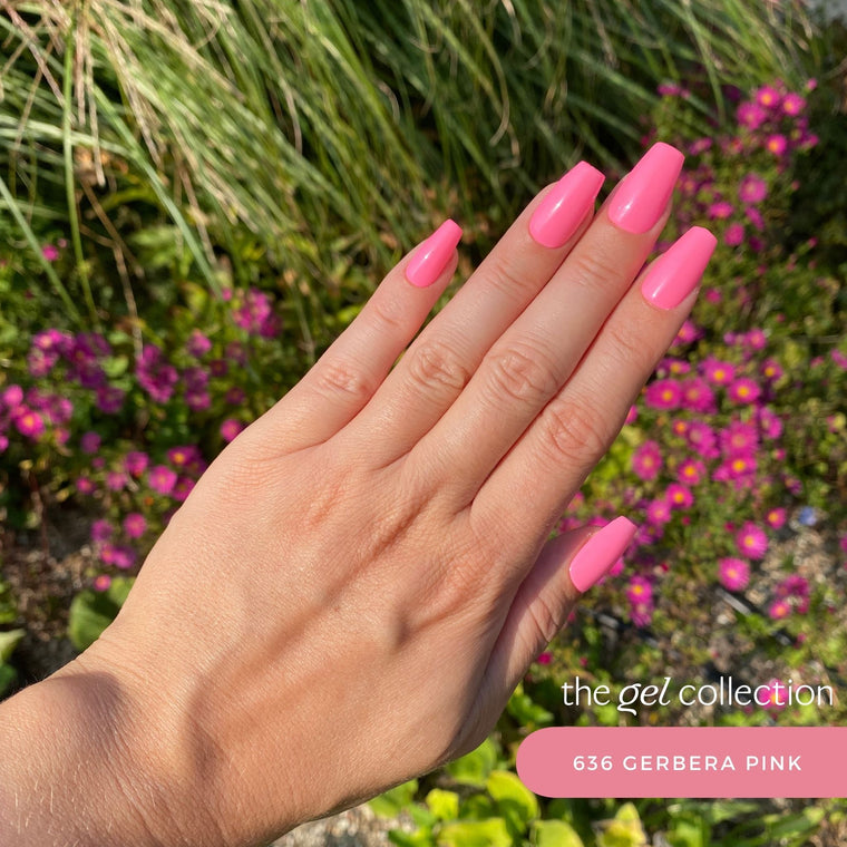 636 Gerbera Pink