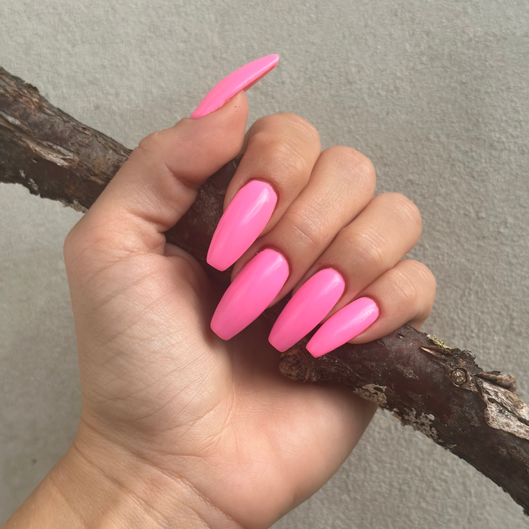 636 Gerbera Pink