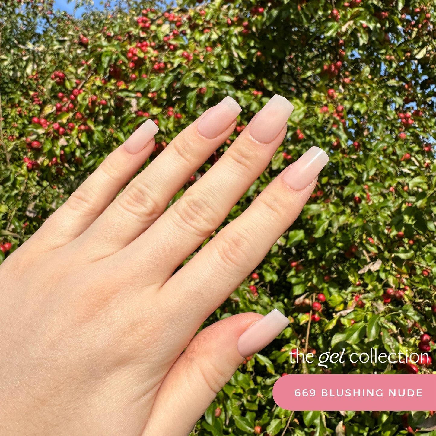 Gel Polish • 669 Blushing Nude (semi-transparent) • 21FREE