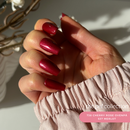 Gel Polish • 738 Cherry Rose (semi-transparent) • 21FREE