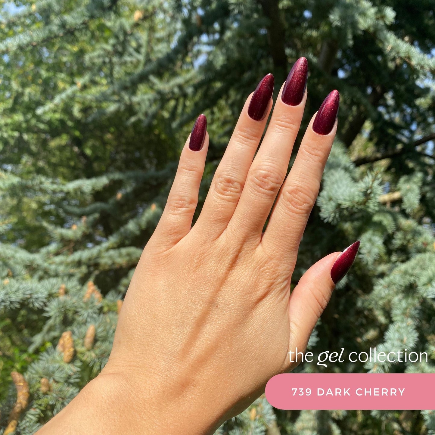 Gel Polish • 739 Dark Cherry • 21FREE • The Gel Collection™