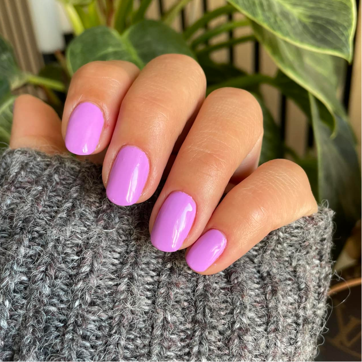 551 Lavender