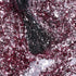 Gel Polish • 795 Rosy Reflection (semi-transparent) • 21FREE