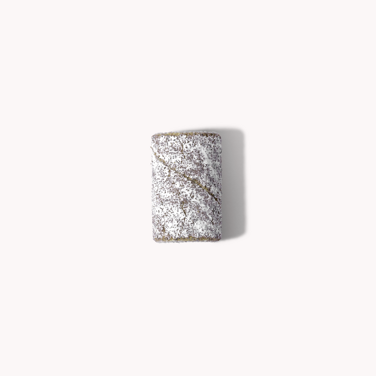 Sanding Bands #100 (100pcs)