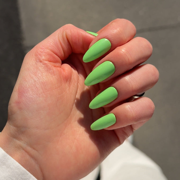 803 Green Leaf