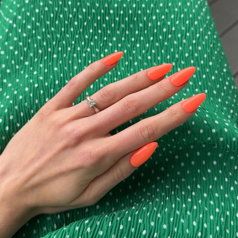 804 Tropical Glow