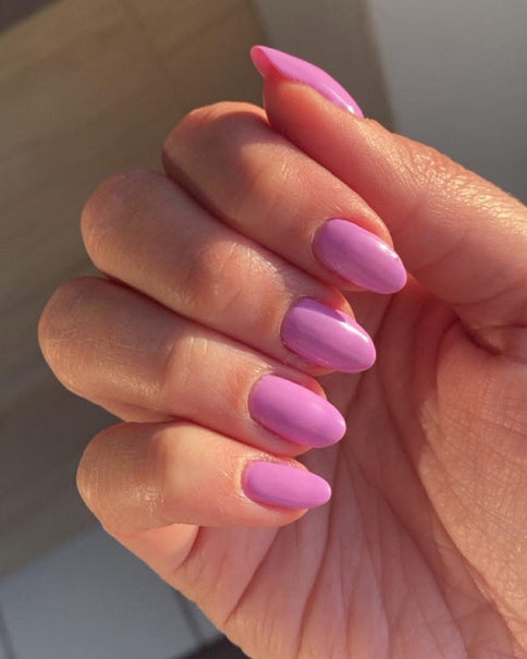 551 lavender