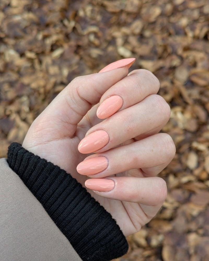 619 Coral Kiss