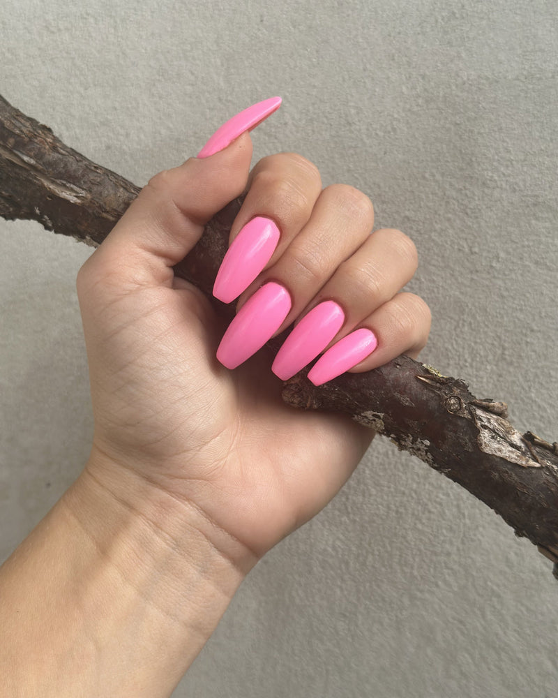 636 gerbera pink