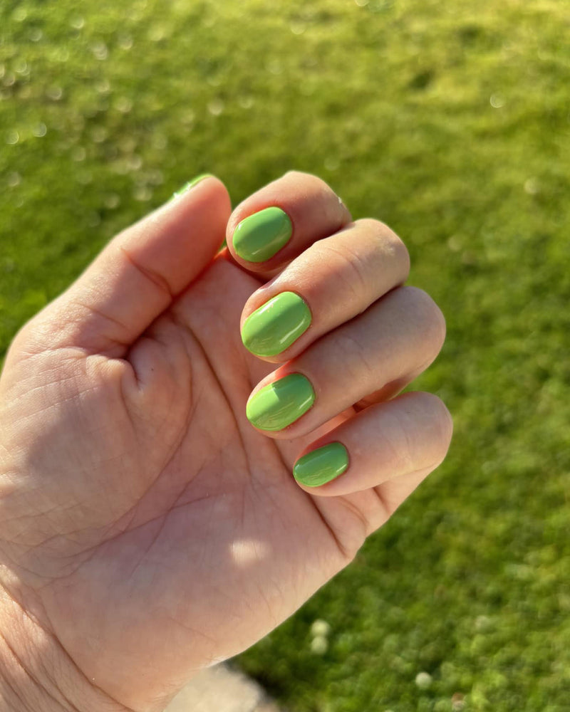 692 Kiwi Kiss