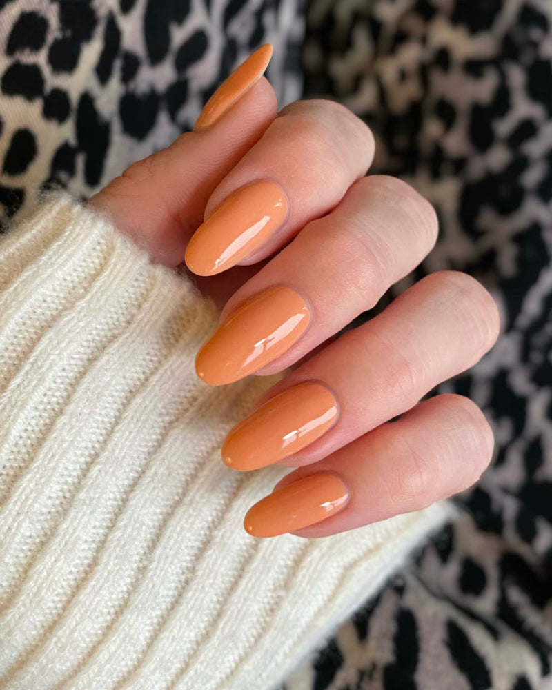 815 Pumpkin Mist