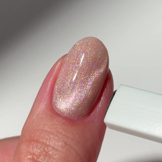 Cat Eye Gel Polish • Pack of 8 colours • 21FREE • The Gel Collection™